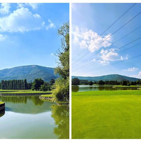 Apartamento La Corte Del Bona - Vicino Alle Cantine E A Circa 15 Minuti Dal Lago Di Iseo - Erbusco Exterior foto