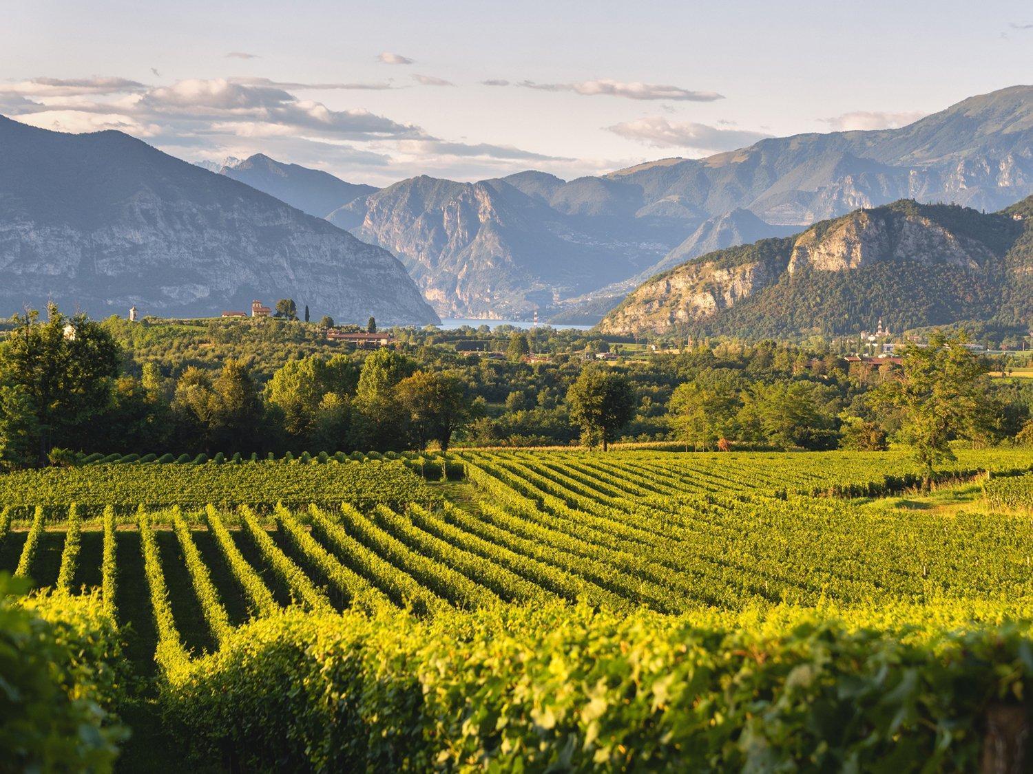 Apartamento La Corte Del Bona - Vicino Alle Cantine E A Circa 15 Minuti Dal Lago Di Iseo - Erbusco Exterior foto