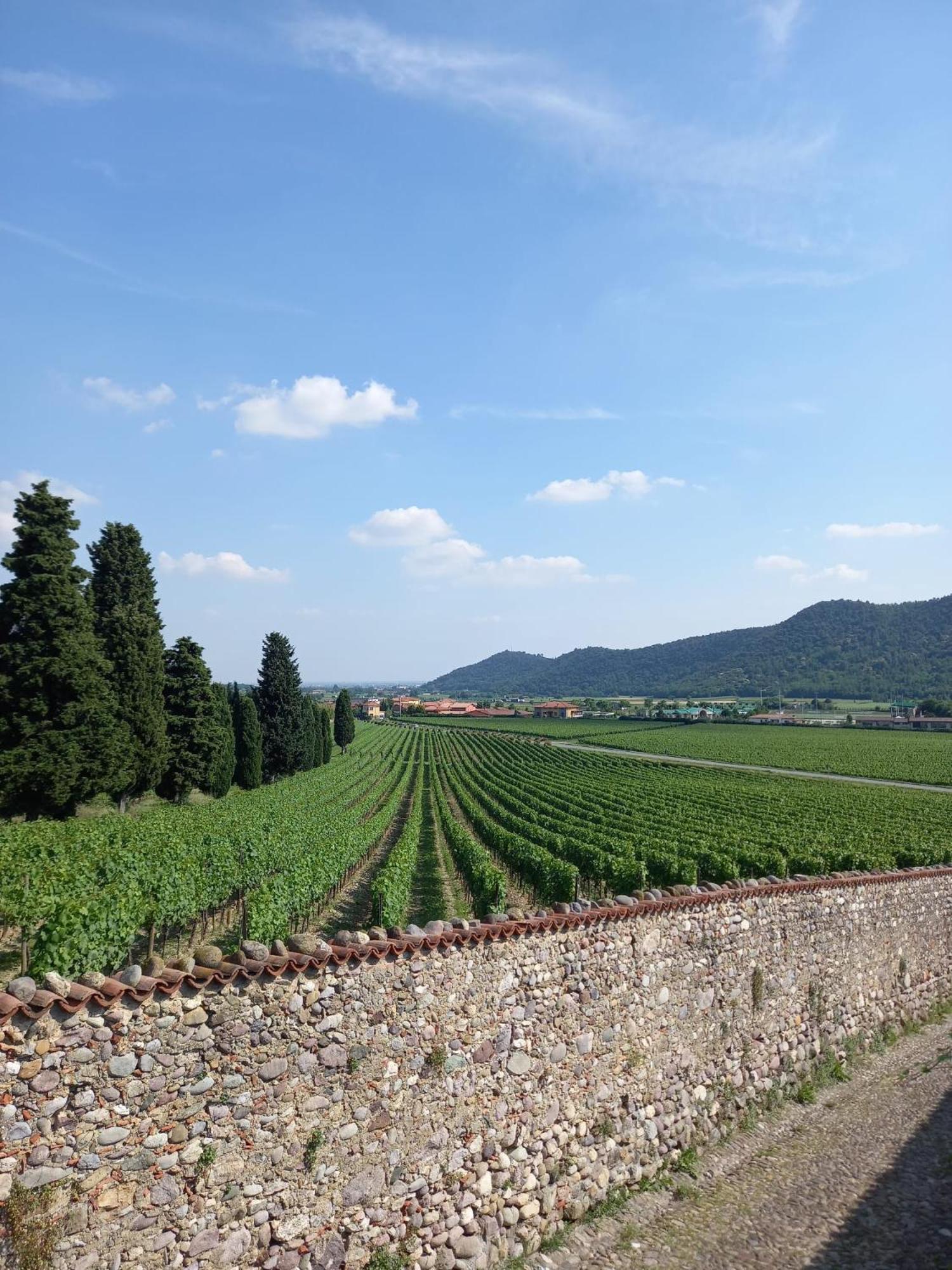 Apartamento La Corte Del Bona - Vicino Alle Cantine E A Circa 15 Minuti Dal Lago Di Iseo - Erbusco Exterior foto